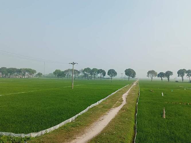 FB_IMG_1649909492885