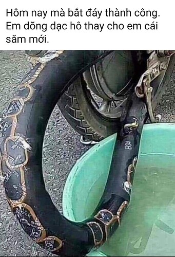 Screenshot_20221004-143746~2