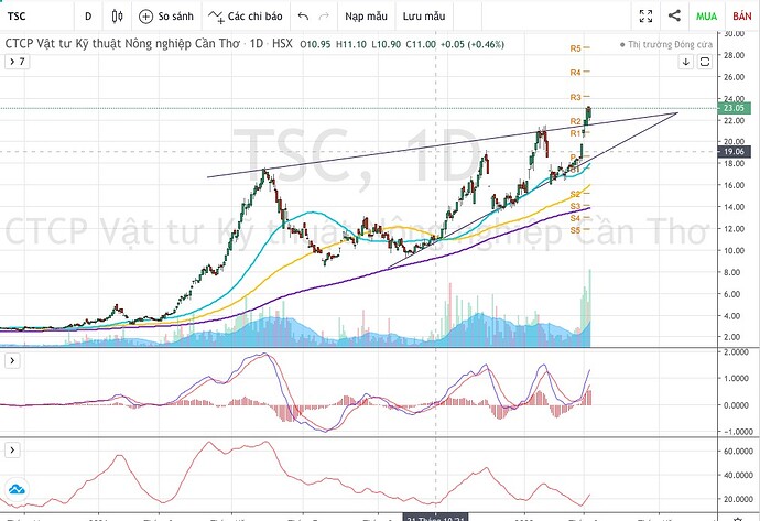 5c53151d0265cd3b9474