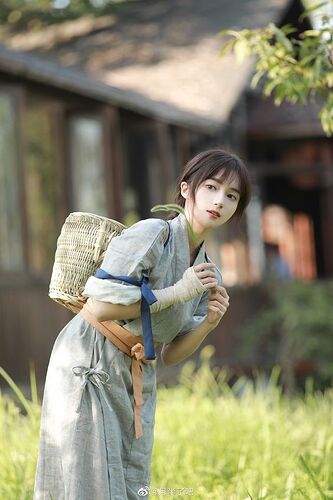 fae389709c96666a1238a6ede5945083