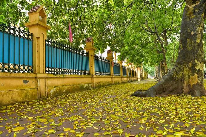 FB_IMG_1650807026357