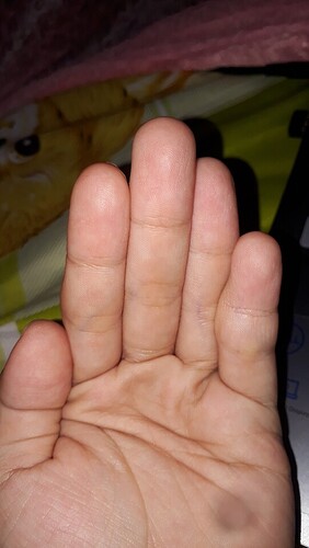 bcd0856bfb3637686e27