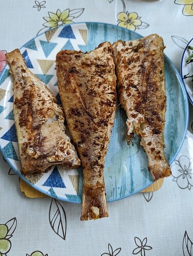 PXL_20221118_124602517