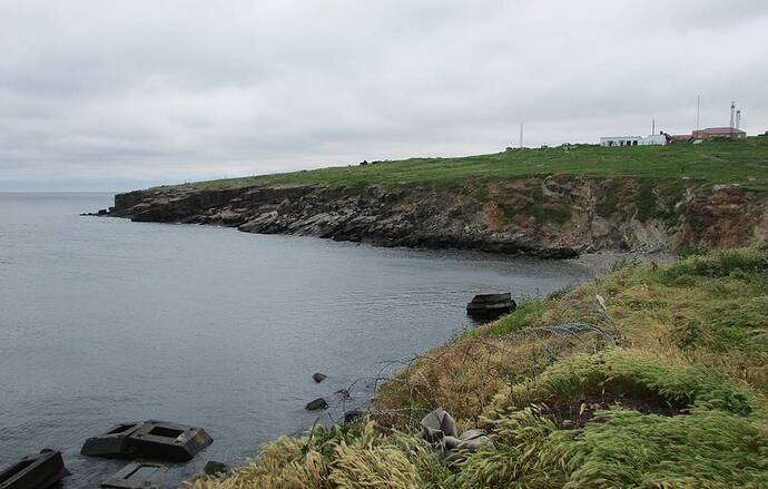 Đảo rắn Mykola Rozhenko / CC BY-SA 4.0 / Wikipedia Commons