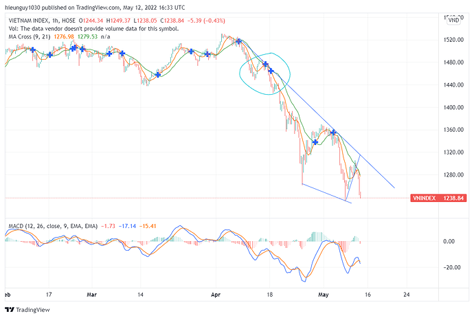 VNINDEX_2022-05-12_23-33-16