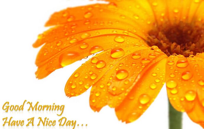 tho-chao-ngay-moi-3-1536x970