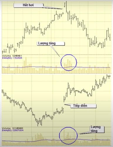 Screen Shot 2022-08-01 at 15.01.18