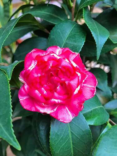 FB_IMG_1644054124487