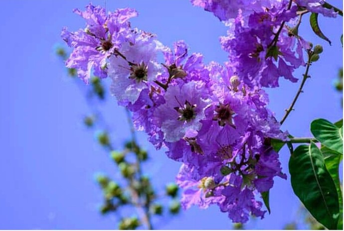 Screenshot_20220331-063252_Chrome