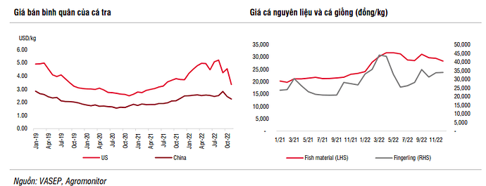 Phân tích Cổ phiếu VHC