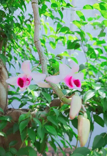 z3582557598550_5b37a6ab8951a20424b5aad18c9a3b35