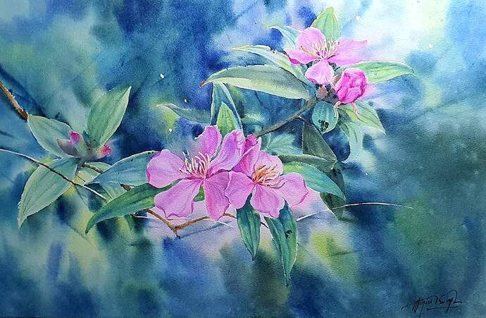 FB_IMG_1651481623462