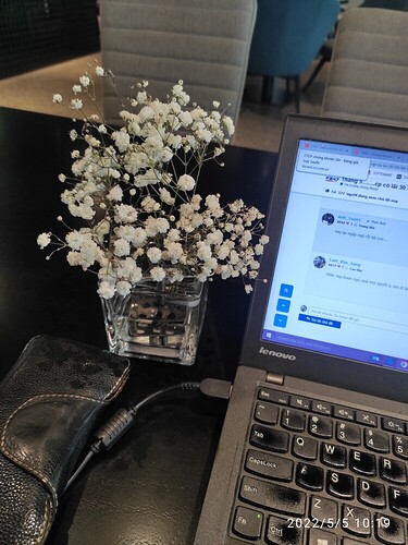 16517207250194915914405805993113