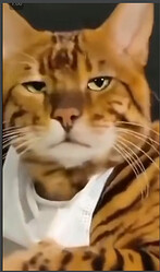 z3553152695565_a6c179c32ae14321193959b418fb7789