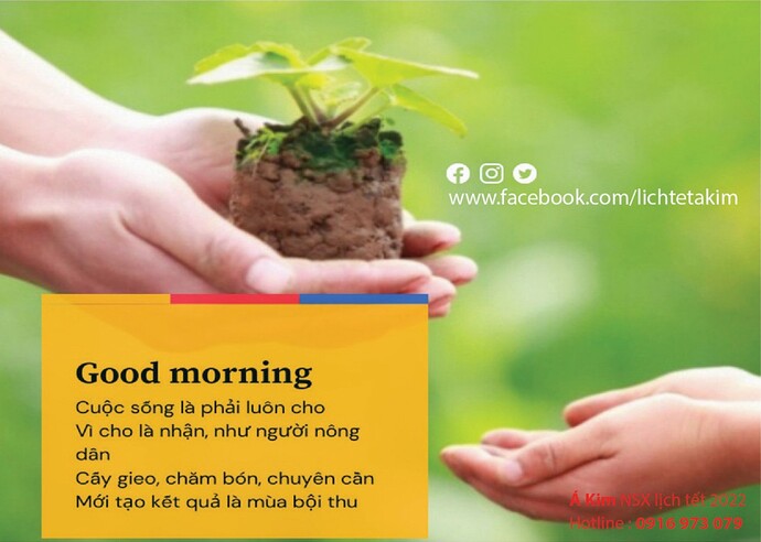 8580e9de249fefc1b68e