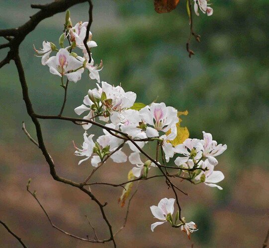 z3250585017463_1dcb4e5b353dcde9f9a6ec56ef77c707