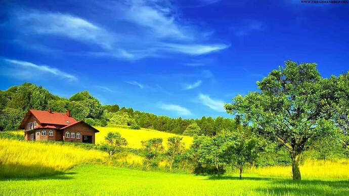 FB_IMG_1647999269718