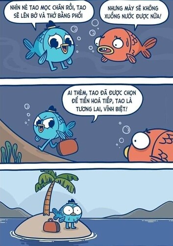 Screenshot_20220509-122657_Internet