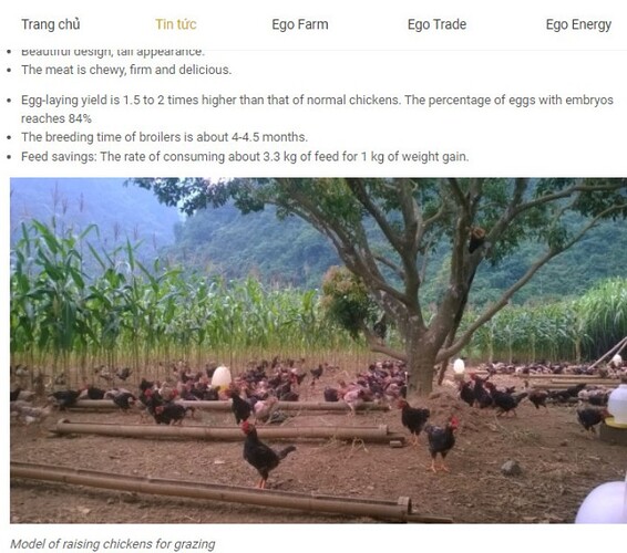 51e10774683ea360fa2f