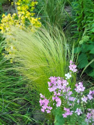 FB_IMG_1656079881695