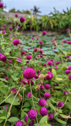 PXL_20220330_055802484