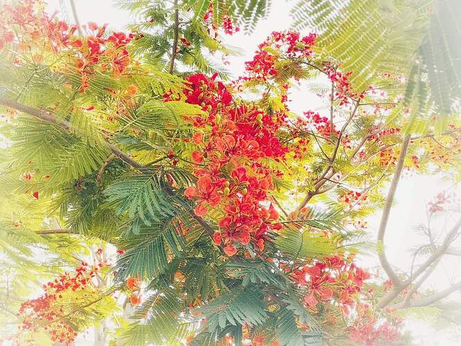 FB_IMG_1652434154979