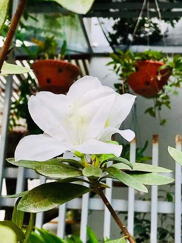 FB_IMG_1644054070881