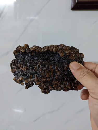 PXL_20221024_041706889