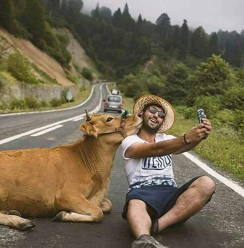 FB_IMG_1647999186698