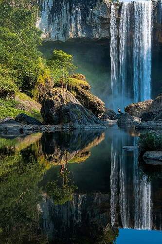 FB_IMG_1647069781155