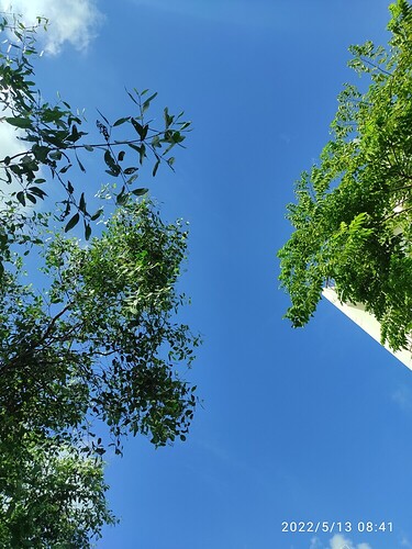 16524060645978663408733565983890