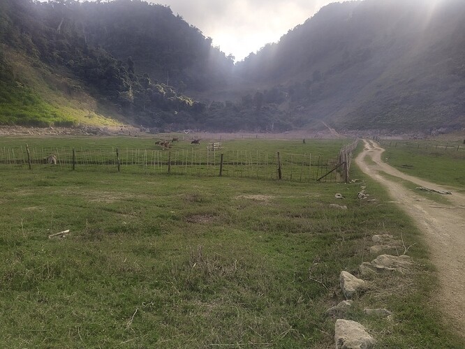 IMG_20221112_153347_2