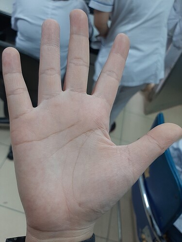 z3163170204613_ff48966f126bfa1fd0401d200d8b7568