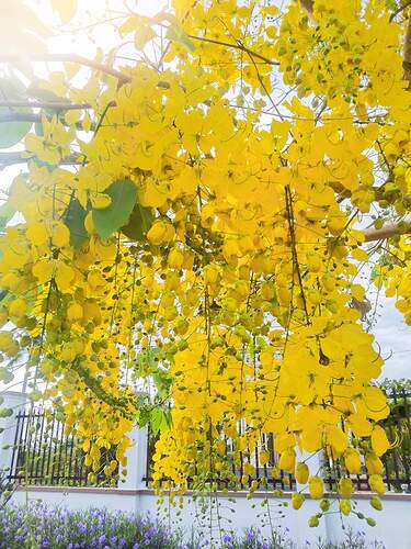 FB_IMG_1649545924308