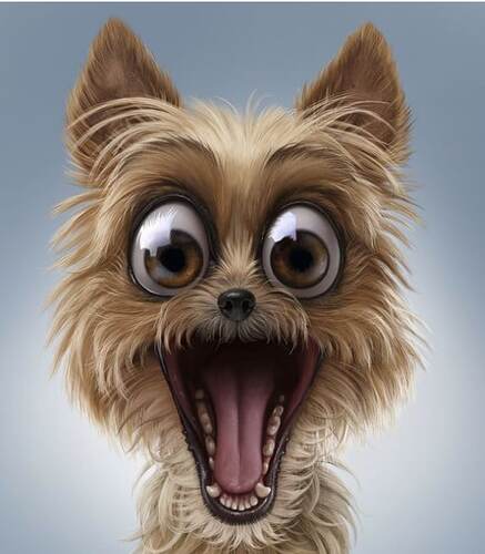 -6289676960577729773_120