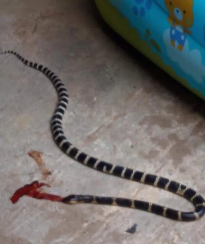 Screenshot_20220103_213307