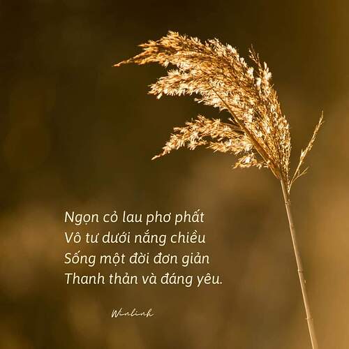 FB_IMG_1637041980541