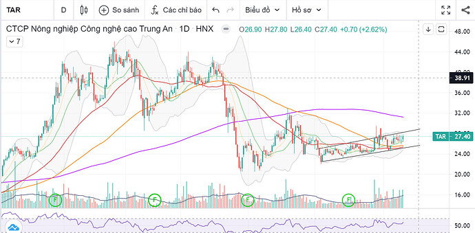 z3739461433310_dd6df88182d1dac460cc1b7fa437bd86