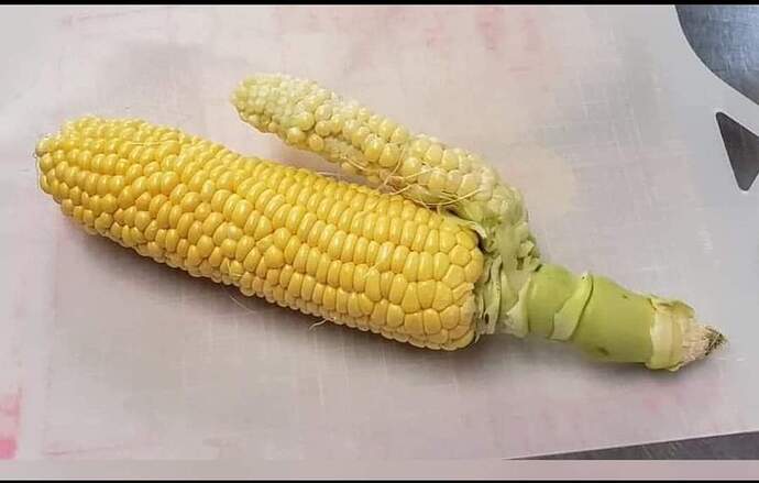 FB_IMG_1666670928356