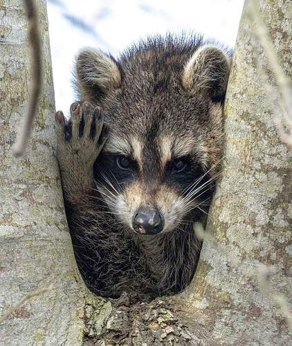 FB_IMG_1652857076071