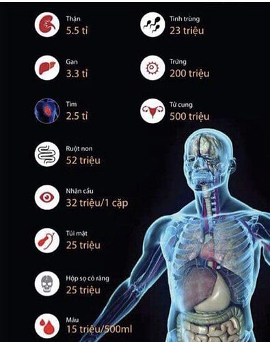 BFBD924A-2E22-4F71-AF72-04FFA84A0E1A