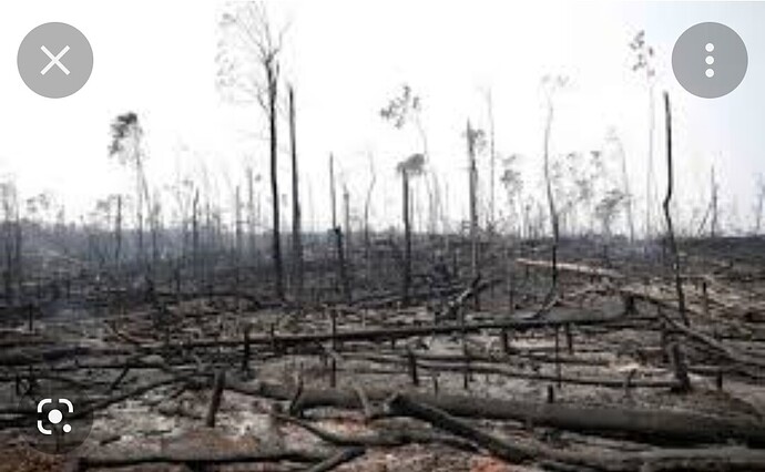 Screenshot_20220915-220105_Google