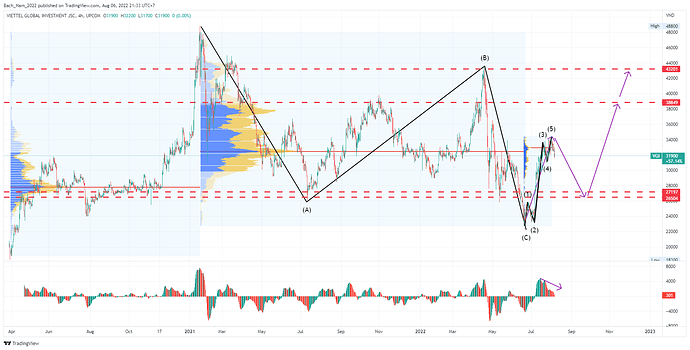 VGI_2022-08-06_21-33-19_8f346