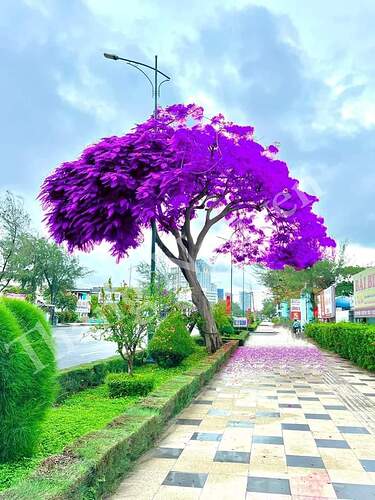 FB_IMG_1651649219731