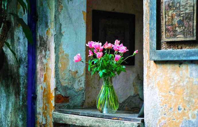 294771323_5449342635108604_3085274793706832727_n