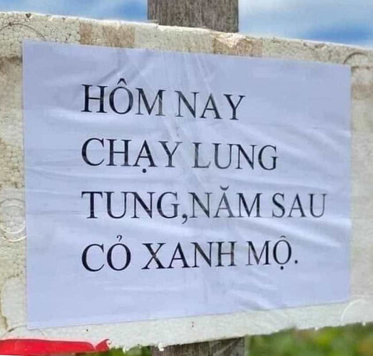 hom-nay-chay-lung-tung-nam-sau-xanh-co-mo