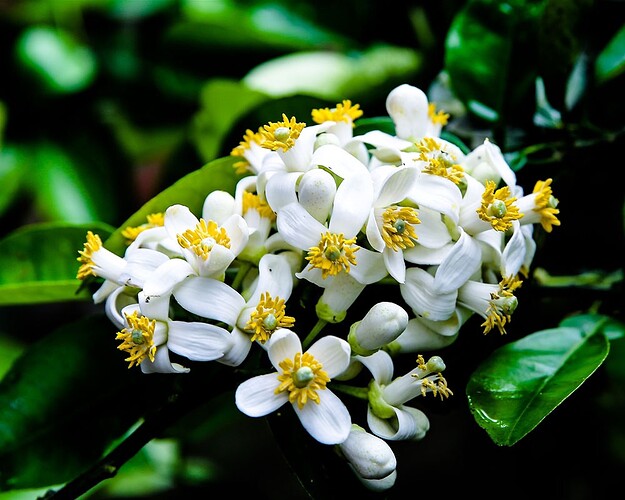 IMG_1646265294792_1646285431269