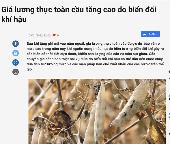 Screen Shot 2022-01-10 at 7.56.26