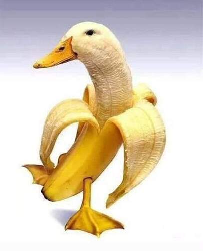 FB_IMG_1654879933878