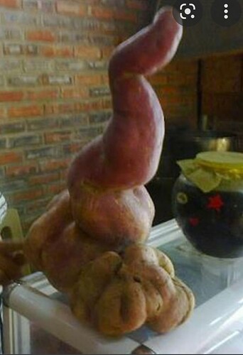 Screenshot_20220622-214127_Google